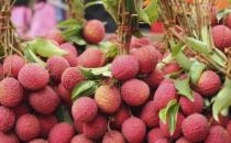 荔枝吃太多上火怎么辦