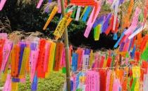 日本人七夕的風俗