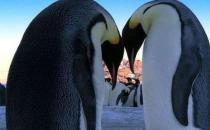 什么樣的女人最有魅力？不糾纏對方