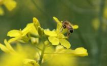 異性閨蜜有什么好處？為什么需要異性閨蜜？