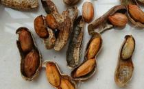 警惕！常吃這兩類食物誘發肝癌