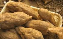 女性最適合的養生藥膳