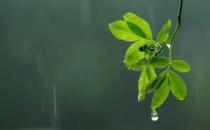 多雨季節老人該如何養生