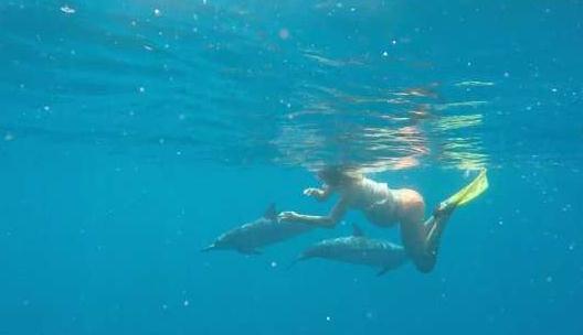 美國夫婦準備海中分娩,讓海豚來接生