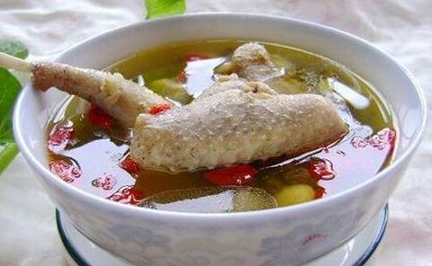 女性美容鴿子湯 要怎么燉最營養