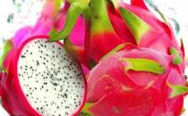 火龍果有什么營養和食療功效？