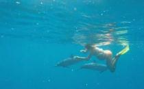 ?美國夫婦準(zhǔn)備海中分娩，讓海豚來接生