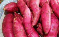 男人必吃的五大秋季養生菜