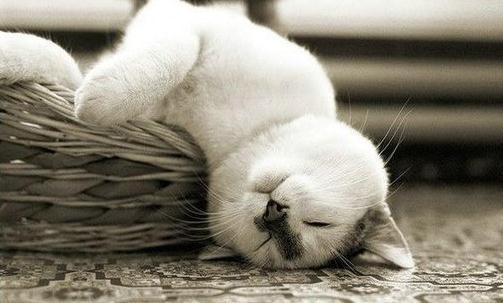 如何治療經(jīng)常頭暈?頭暈的原因