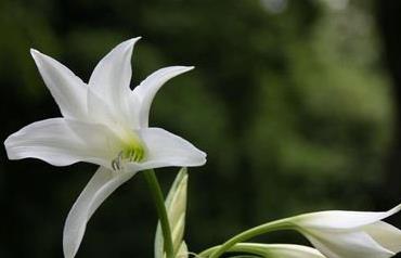 女性腎虛的7大表現(xiàn) 應(yīng)該吃什么