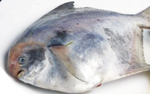 吃鯧魚降低膽固醇預(yù)防癌癥