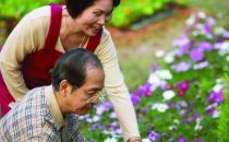 大寒時節 老人需防的那些病