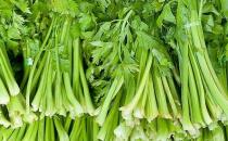芹菜有哪些藥用功效？吃芹菜可預(yù)防動(dòng)脈硬化