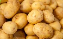 土豆塊越大越營養 蒸著吃營養素損失最少