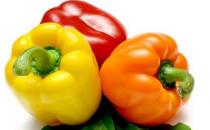 提高老人記憶力養成6個小習慣