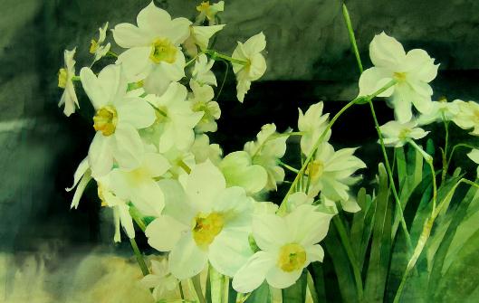 水仙花的簡介-水仙花的作用