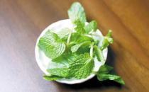 薄荷是什么？薄荷對家居環境的影響