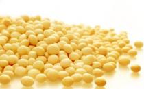 吃黃豆預防老年癡呆 10大保健功效必知