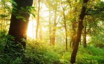 選購家用空氣凈化器有什么誤區？