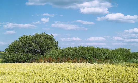 97%的用戶對空氣凈化器有所需求
