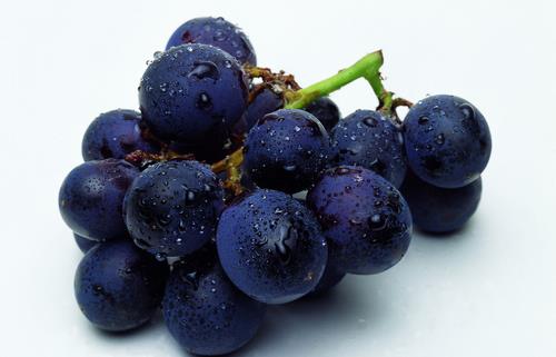 家長必讀:食物中的八大“補腦高手”