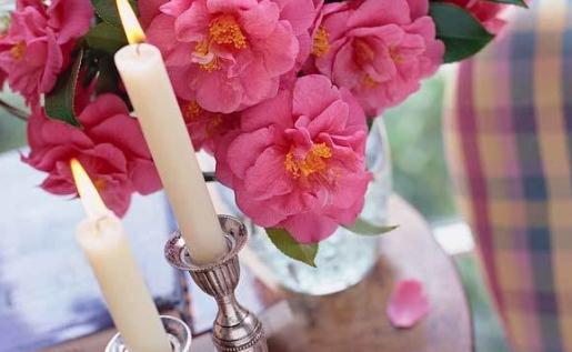 帶空氣凈化功能的自行車?再也不怕霧霾啦!