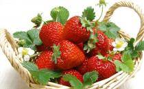 吃什么對膀胱好？預防膀胱癌吃什么好？