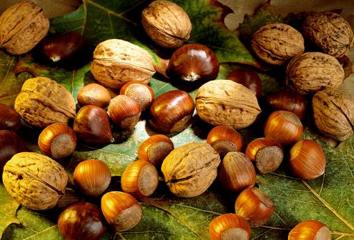 養生三寶推薦:核桃、栗子和榛子