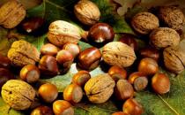 養生三寶推薦：核桃、栗子和榛子