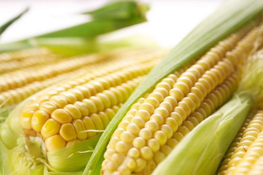 老玉米和嫩玉米怎么辨別?教你挑出好玉米