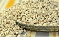 體內(nèi)濕氣重吃什么好？去除濕氣的食物推薦