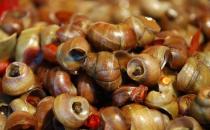 女性經期不能吃什么？經期飲食的宜與忌