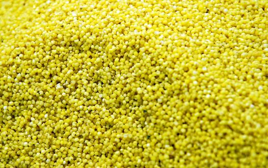 女性備孕吃什么好?13款好孕食物推薦