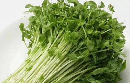 吃什么瘦臉?十款食物幫你成就小V臉