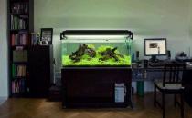 魚(yú)缸與家居運(yùn)勢(shì)有什么關(guān)系？