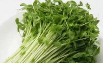 吃什么瘦臉？十款食物幫你成就小V臉