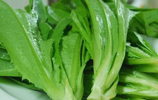 萵筍葉能吃嗎?萵筍葉維生素含量高