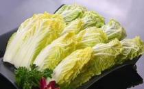 白菜和娃娃菜有啥區別？盤點各種“白菜”的區別