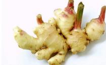 “晚上吃姜賽砒霜”是個誤區？