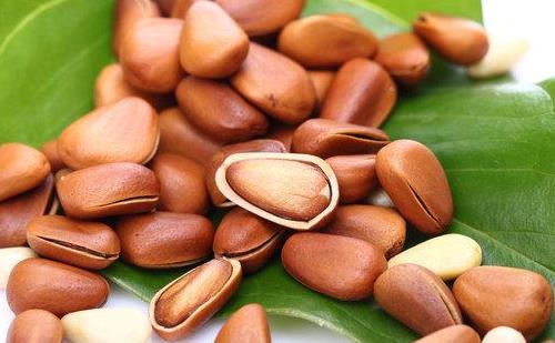 上班族用腦過度 多吃松子補(bǔ)充腦營(yíng)養(yǎng)