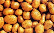 睡前吃什么不發(fā)胖？10女人最愛睡前食物推薦