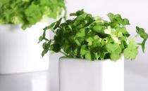 改善辦公環境 遠離輻射危害