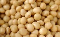 吃什么對乳房好？保護乳房的9種食物推薦