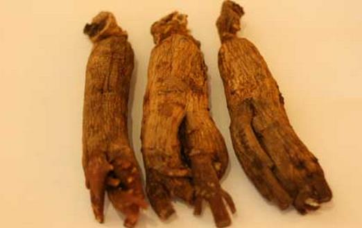 益智陣痛抗癌 盤點(diǎn)高麗參的功效與作用