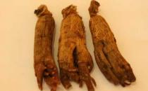 益智陣痛抗癌 盤點(diǎn)高麗參的功效與作用