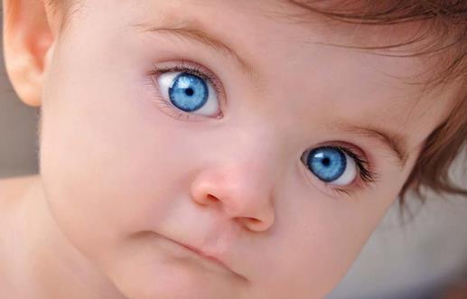 寶寶多吃10種食物預防眼疾