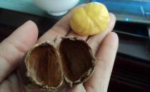 剝栗子剝到手疼？10招快速去除板栗皮