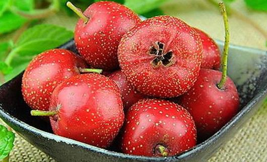 冬天肝火旺吃什么好? 五種食物幫你去肝火