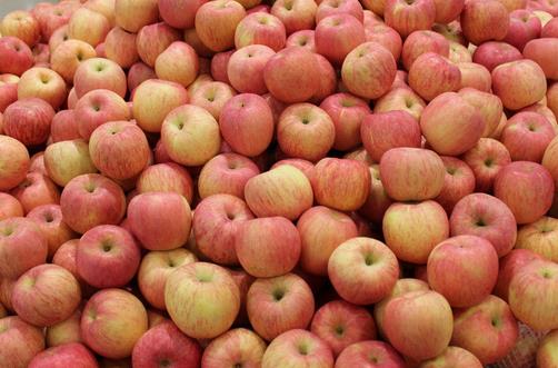 孕婦吃什么能促進胎兒大腦發育？