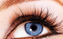 盤點關于假睫毛的實用指南